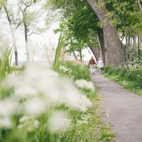-lr-sluis-online-themafoto-s-vierkant-13.jpg