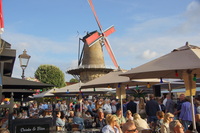 DSC06954