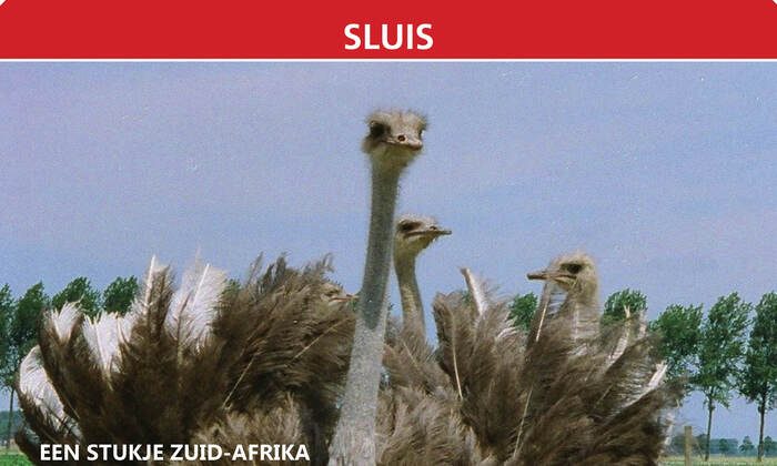 Struisvogelboerderij Monnikenwerve - 29e Open Weekend Struisvogelboerderij Monnikenwerve